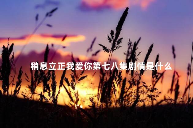 稍息立正我爱你第七八集剧情是什么