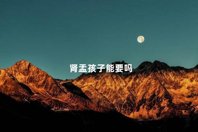 肾盂孩子能要吗