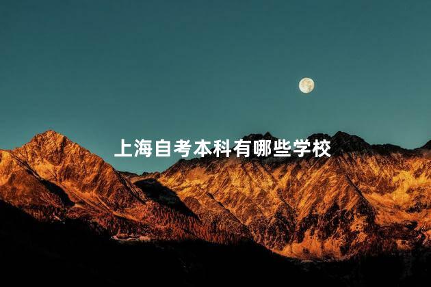 上海自考本科有哪些学校