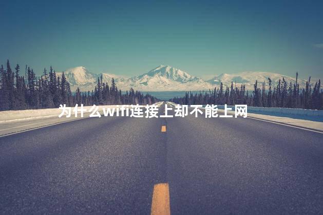 为什么wifi连接上却不能上网