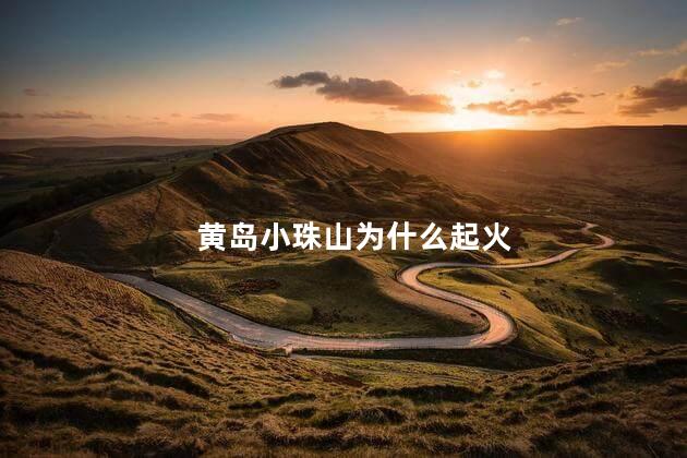 黄岛小珠山为什么起火