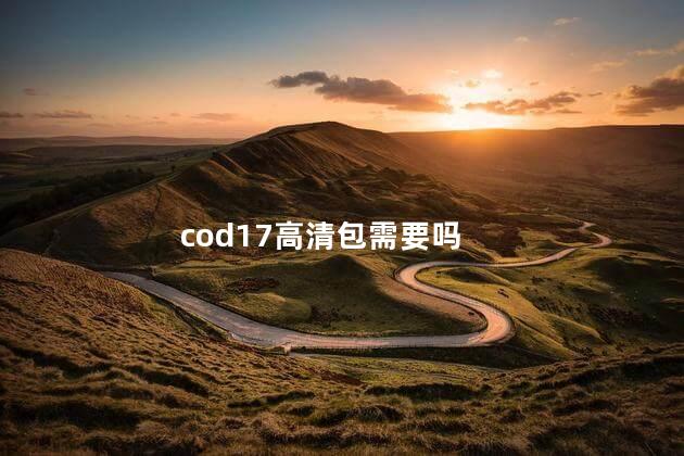 cod17高清包需要吗