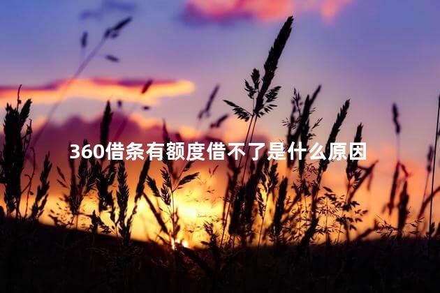 360借条有额度借不了是什么原因