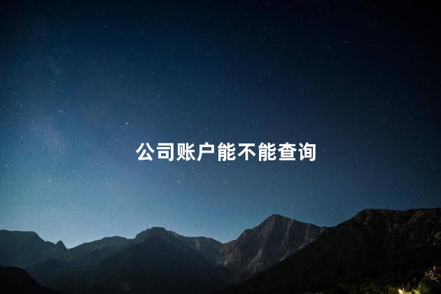 公司账户能不能查询