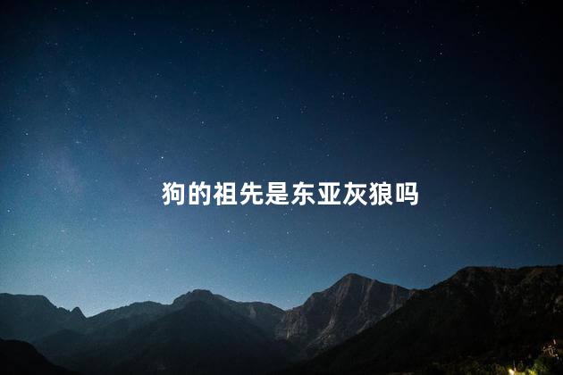 狗的祖先是东亚灰狼吗