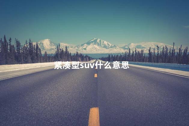 紧凑型suv什么意思