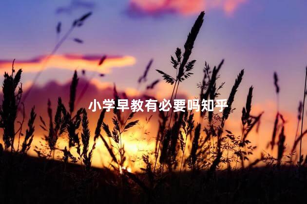 小学早教有必要吗知乎