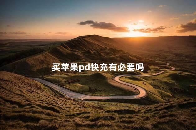 买苹果pd快充有必要吗