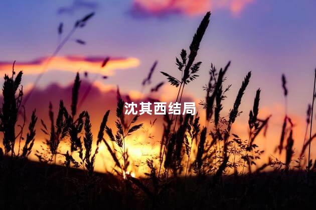 沈其西结局