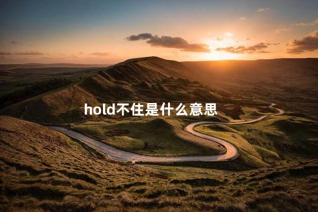 hold不住是什么意思