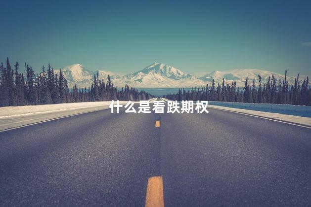 什么是看跌期权