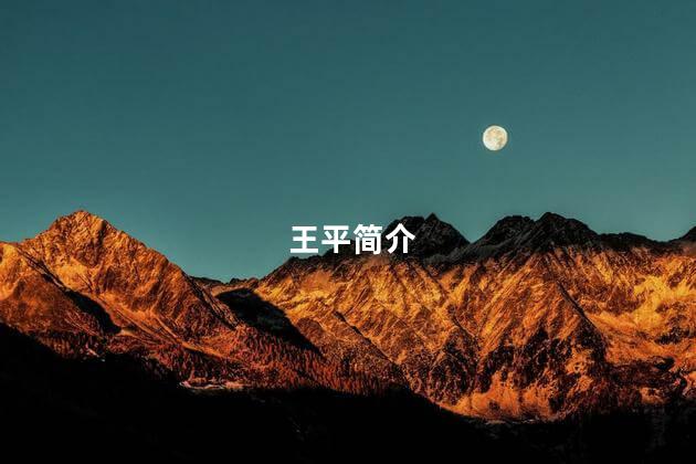 王平简介