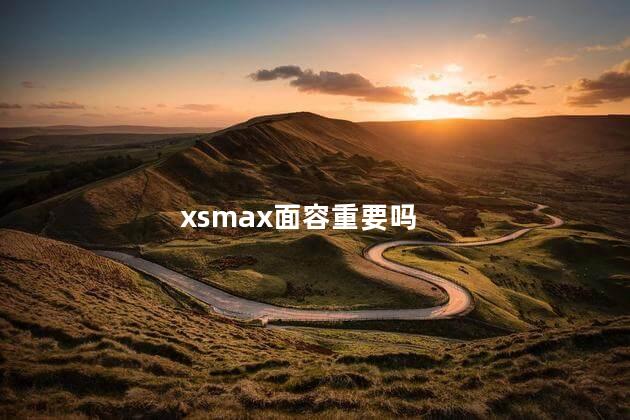 xsmax面容重要吗