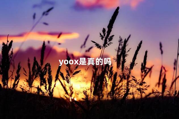 yoox是真的吗