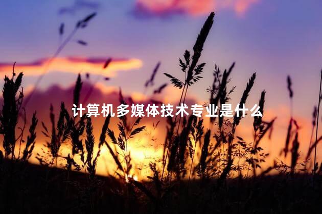 计算机多媒体技术专业是什么