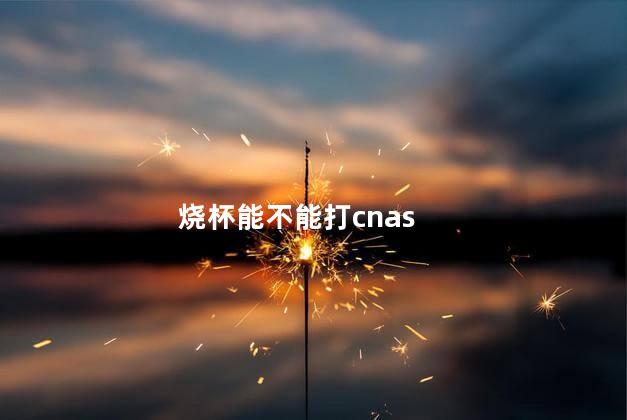 烧杯能不能打cnas