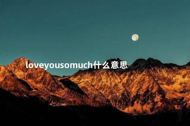 loveyousomuch什么意思