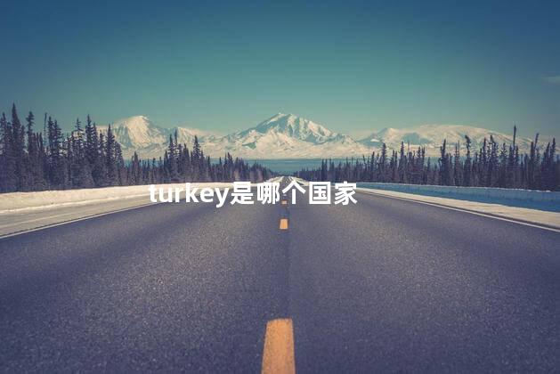 turkey是哪个国家