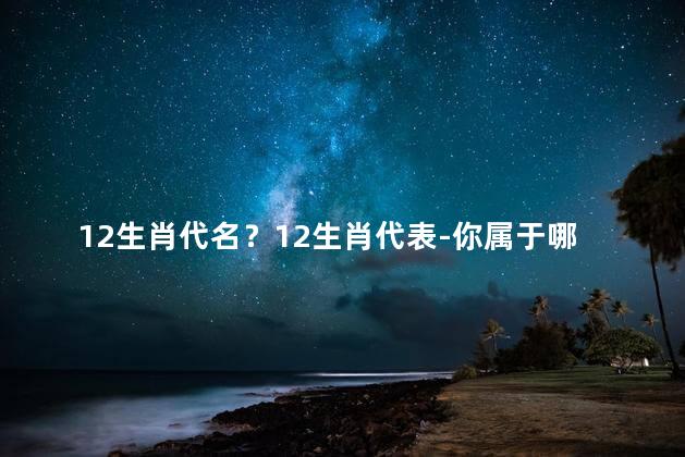 12生肖代名？12生肖代表-你属于哪个生肖