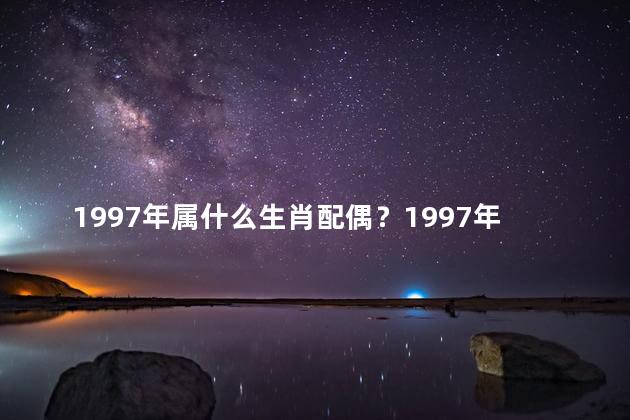 1997年属什么生肖配偶？1997年出生的人属什么生肖？请提供配偶资讯！