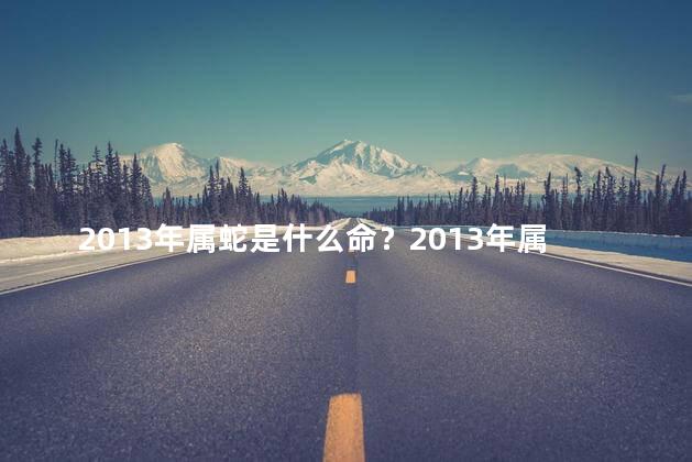 2013年属蛇是什么命？2013年属蛇的人是什么命