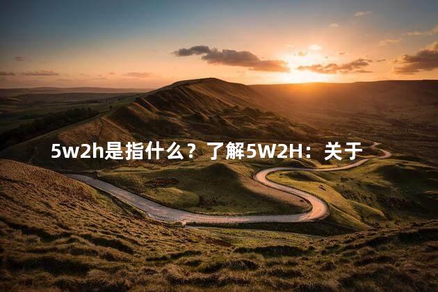 5w2h是指什么？了解5W2H：关于5W2H解释和应用的简单指南