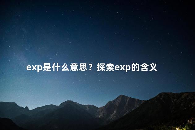 exp是什么意思？探索exp的含义