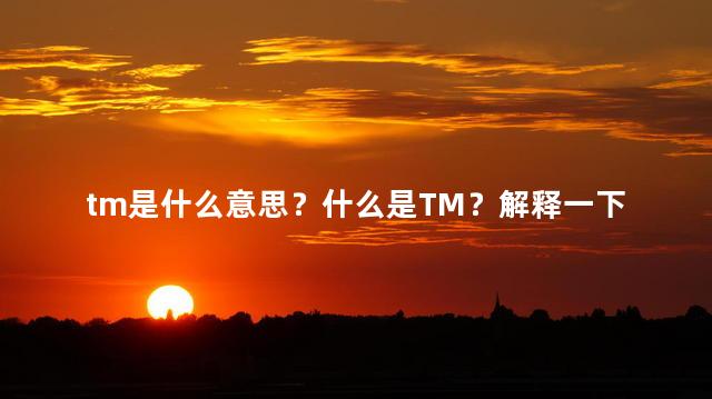 tm是什么意思？什么是TM？解释一下