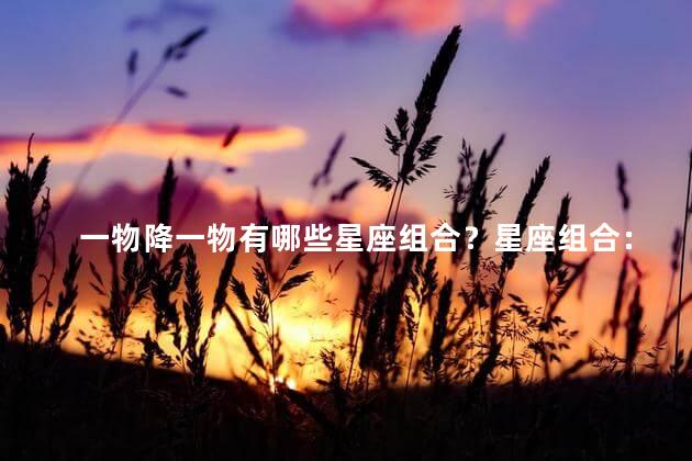 一物降一物有哪些星座组合？星座组合：一物降一物，有哪些最佳搭配？