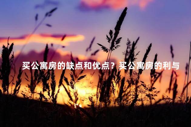 买公寓房的缺点和优点？买公寓房的利与弊