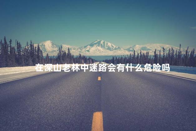 在深山老林中迷路会有什么危险吗，在深山老林中迷路会怎么样