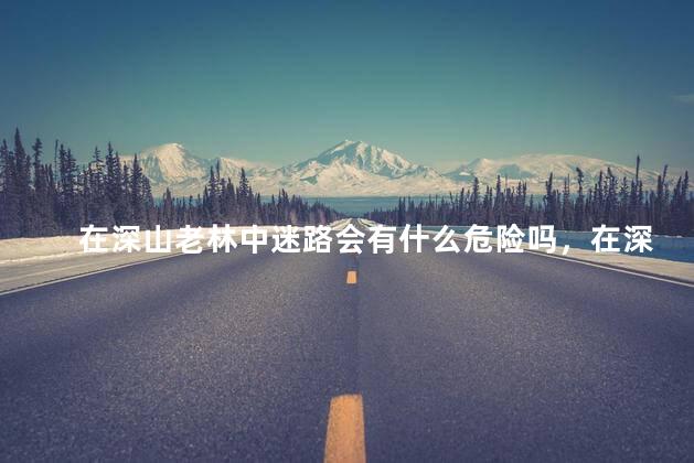 在深山老林中迷路会有什么危险吗，在深山老林中迷路会怎么样