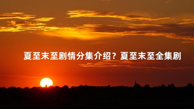 夏至末至剧情分集介绍？夏至末至全集剧情大揭秘