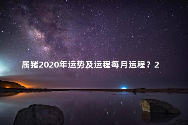 属猪2020年运势及运程每月运程？2020年属猪人的每月运势及运程分析