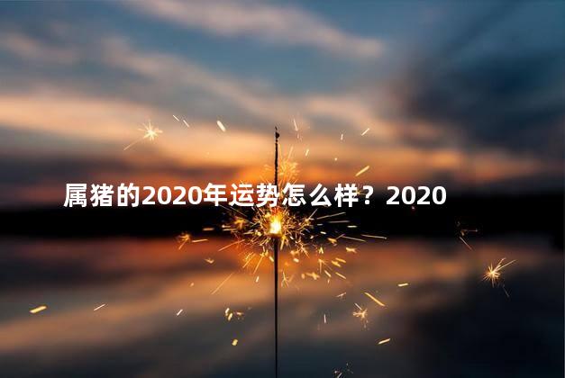 属猪的2020年运势怎么样？2020年属猪运势解读：来自星星的幸运！