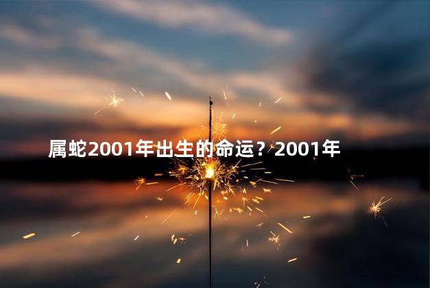 属蛇2001年出生的命运？2001年出生的属蛇命运解析