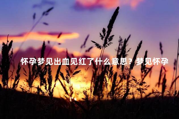 怀孕梦见出血见红了什么意思？梦见怀孕出血见红，是什么意思？