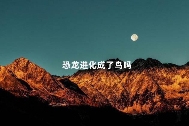 恐龙进化成了鸟吗，恐龙进化成鸟儿的过程