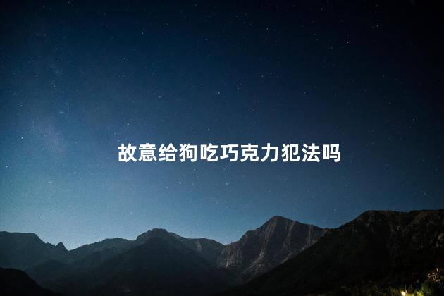 故意给狗吃巧克力犯法吗