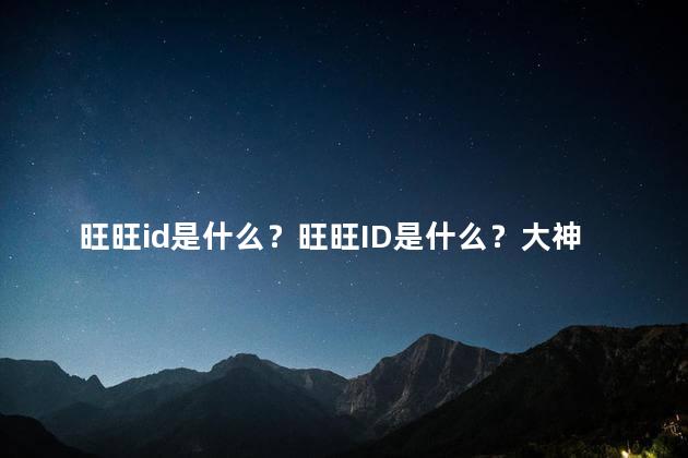 旺旺id是什么？旺旺ID是什么？大神能解答吗？