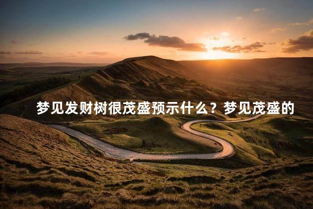 梦见发财树很茂盛预示什么？梦见茂盛的发财树意味着什么？