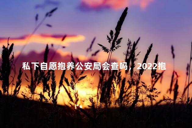 私下自愿抱养公安局会查吗，2022抱养的黑户能上户口吗