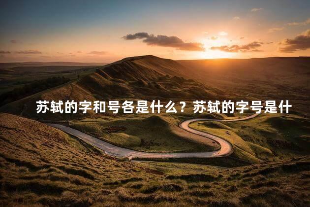 苏轼的字和号各是什么？苏轼的字号是什么？再让我给你答案