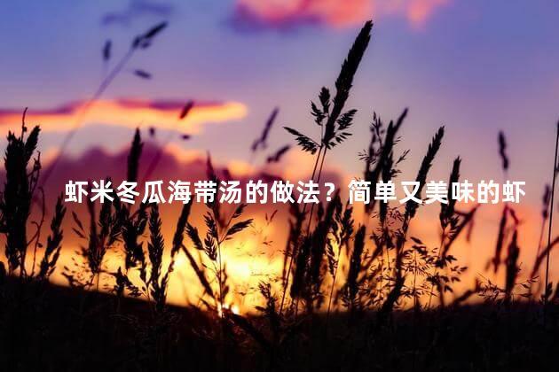 虾米冬瓜海带汤的做法？简单又美味的虾米冬瓜汤