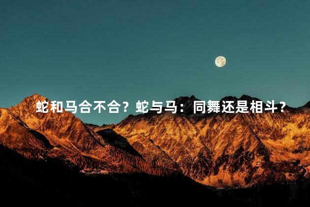 蛇和马合不合？蛇与马：同舞还是相斗？